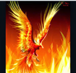 Meet your Posher, Abm